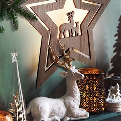 Solight LED nástenná dekorácia vianočná hviezda, 24x LED, 2x AA