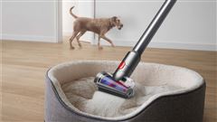 Dyson V8 Absolute 2023